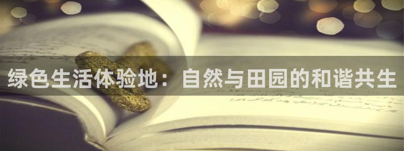天辰娱乐彩票