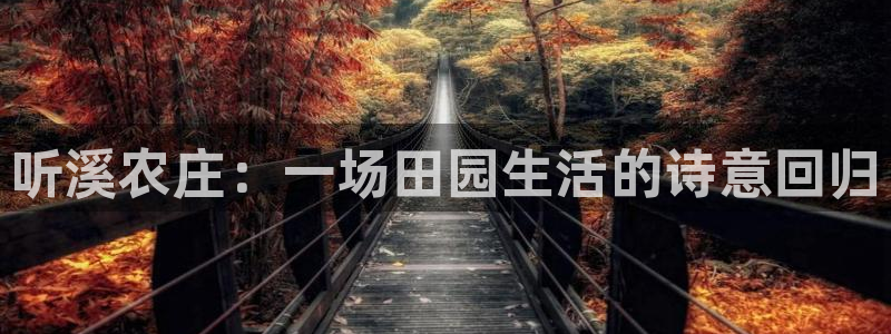 天辰娱乐的网址首页