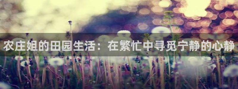 天辰娱乐 qq