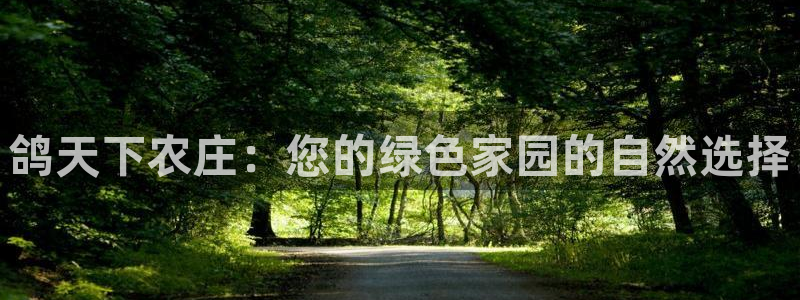 天辰娱乐best