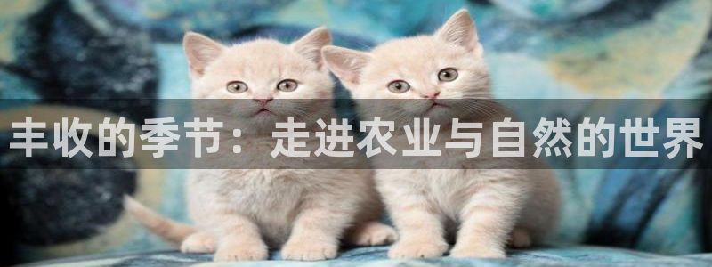 天辰娱乐待遇