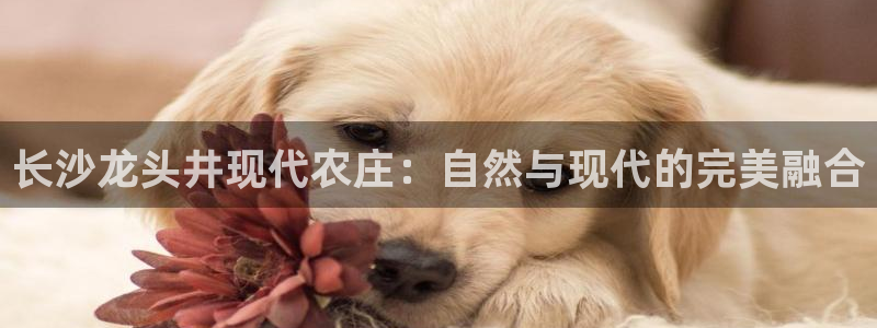 天辰娱乐扣钱