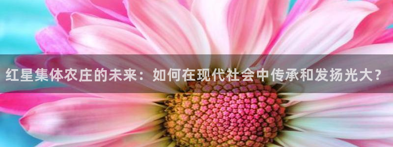 天辰娱乐招商