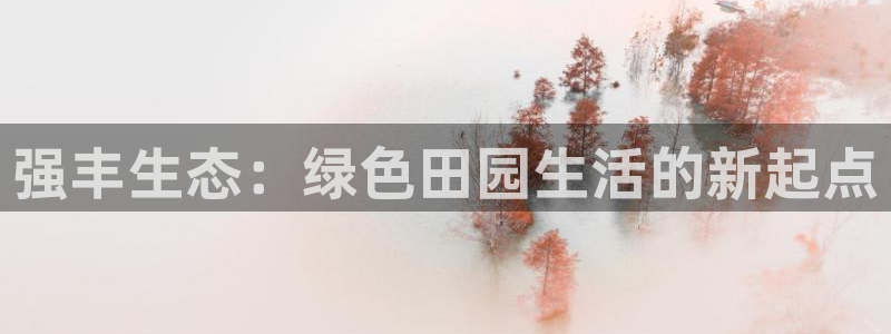 天辰娱乐白屏