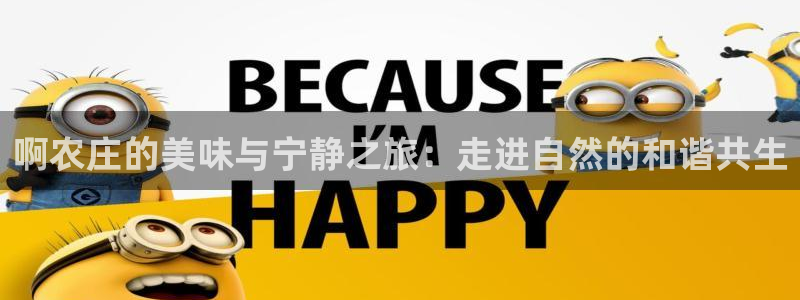 天辰娱乐链接