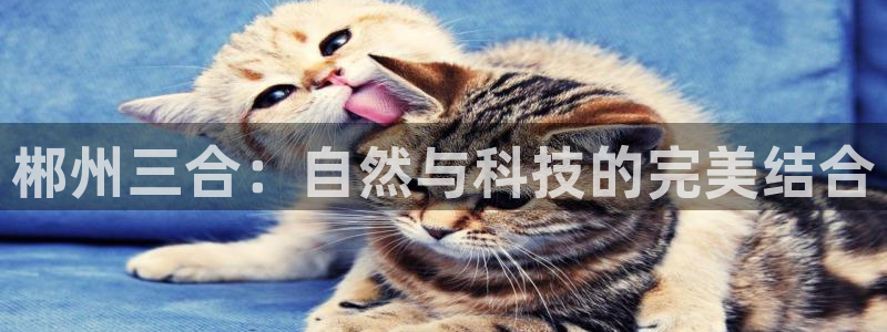 天辰娱乐路线