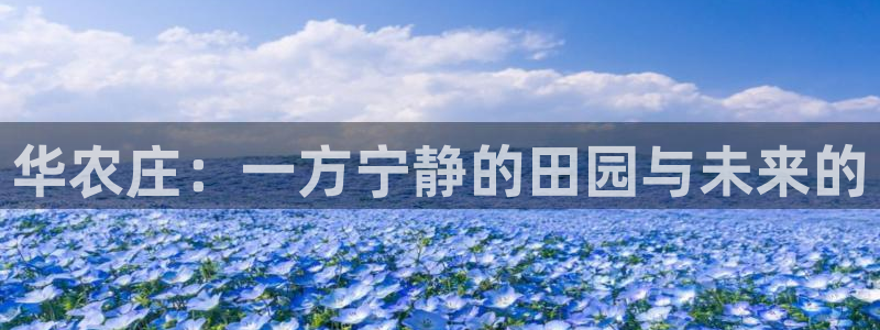 天辰辰娱乐代理