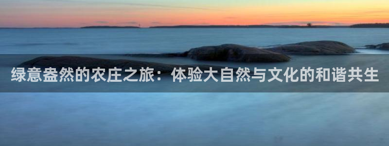 辰天娱乐用品
