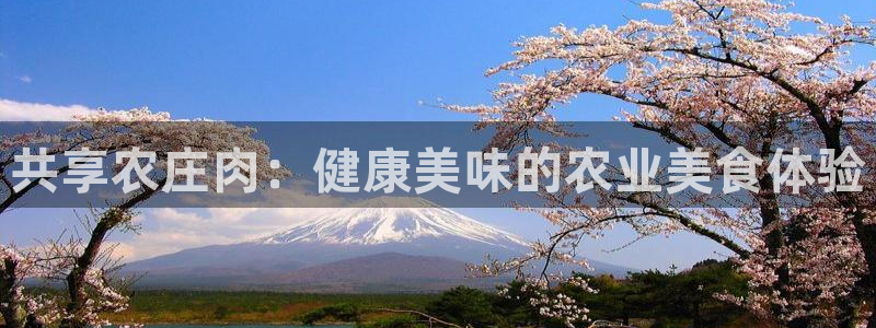 天辰娱乐平台地址