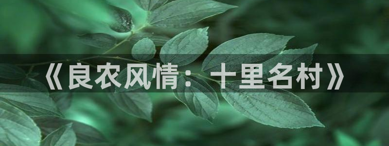 天辰娱乐tff