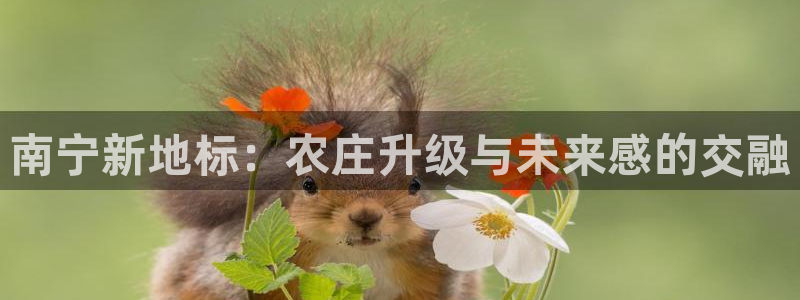 天富娱乐与天辰娱乐