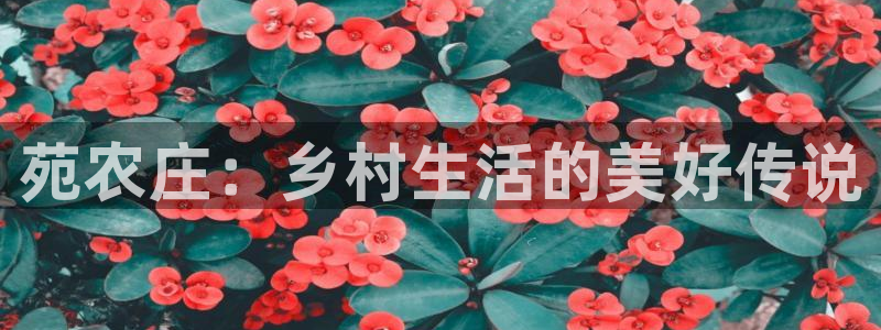 天辰娱乐游戏