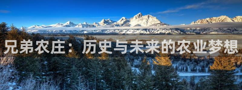 天辰娱乐51137