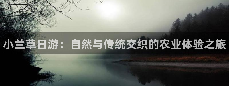 南充天辰娱乐