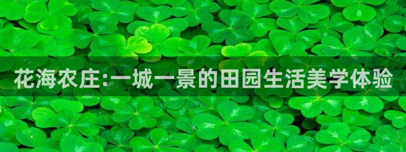 天辰娱乐赌博