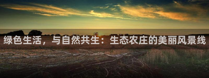 天辰娱乐白屏