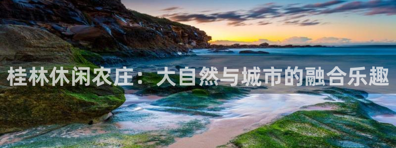 天辰娱乐10086