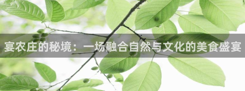 天辰娱乐1966