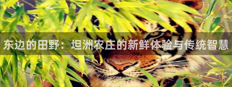 徐州天辰娱乐