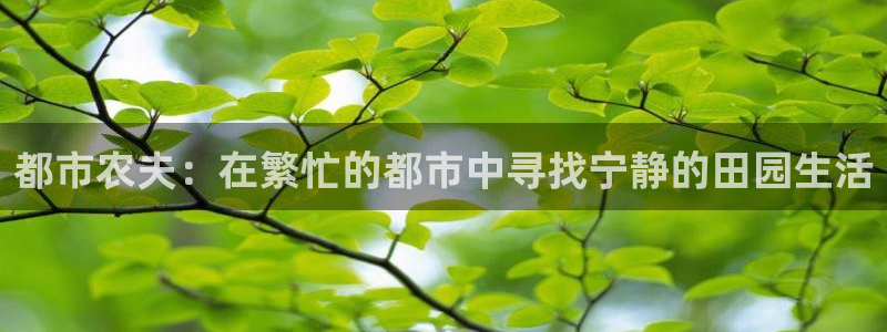 天辰宝宝娱乐