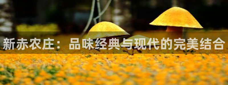 天辰娱乐在线