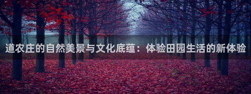 天辰娱乐连接