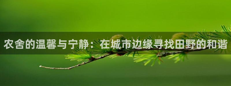 天辰娱乐维护