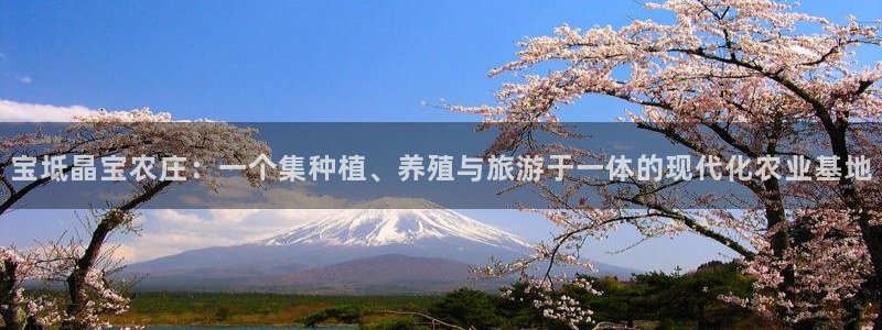 天辰娱乐44516