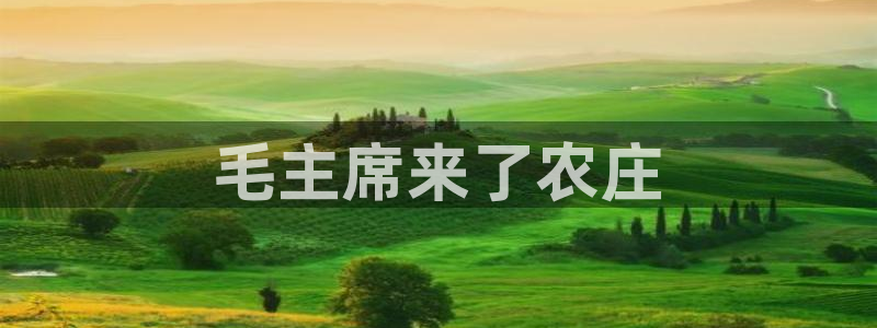 天辰娱乐61116