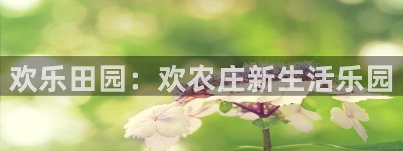 天辰娱乐上级