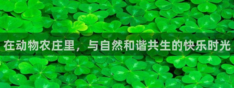 天辰天辰娱乐