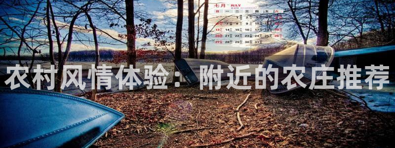 天辰娱乐老板
