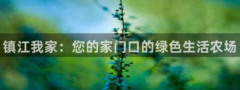 天辰娱乐 44516