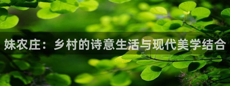 天辰娱乐平台
