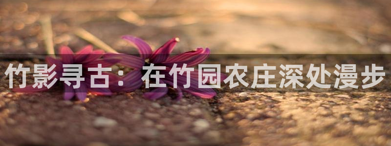 深圳天辰娱乐