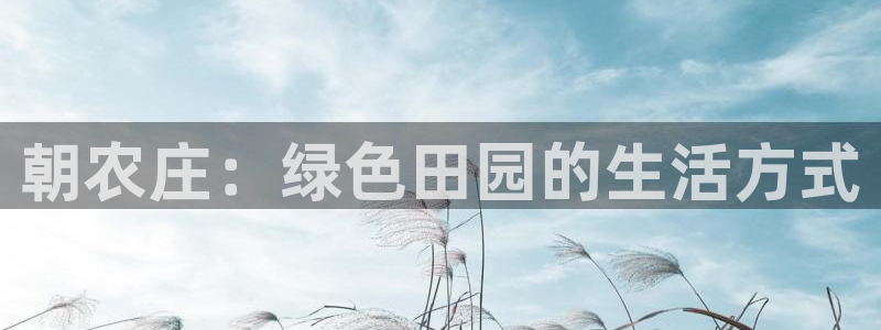 天辰娱乐下载地址