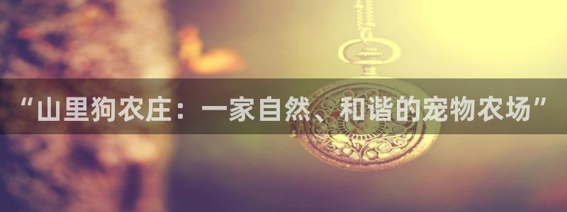 天辰娱乐平台测速
