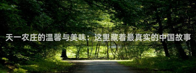 天辰娱乐平台app下载