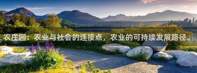 天辰娱乐游客
