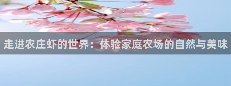 天辰娱乐登陆
