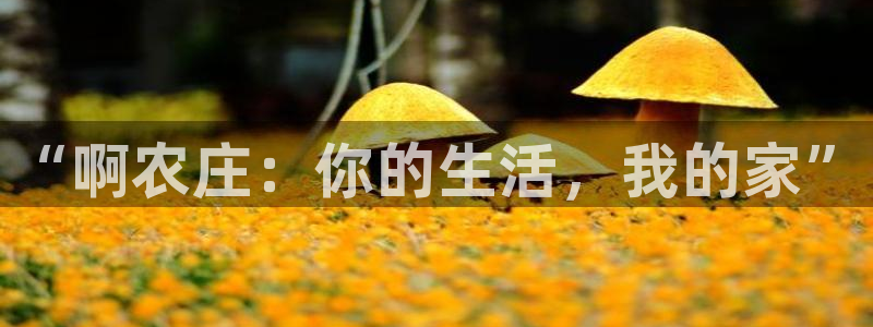 天辰娱乐登陆
