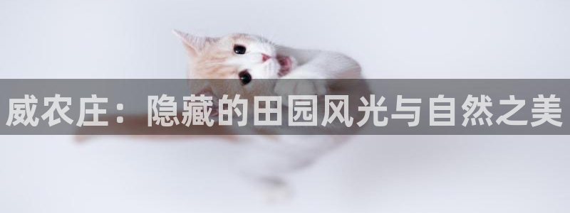 天辰娱乐电话