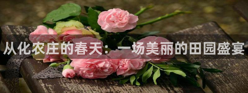 天辰娱乐1956