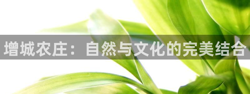 天辰娱乐黑人