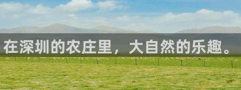 天辰娱乐信誉