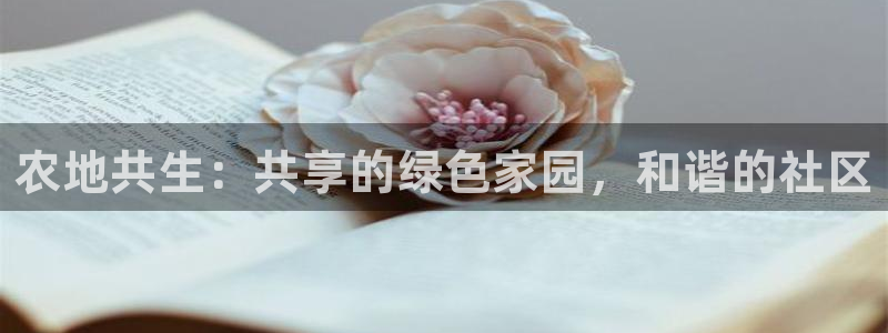 手机上怎么下载天辰娱乐