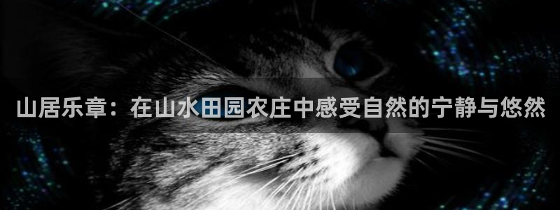 天辰娱乐海洋