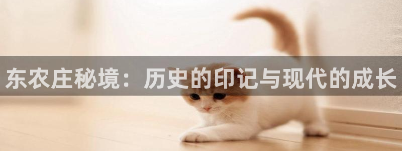天辰辰娱乐代理
