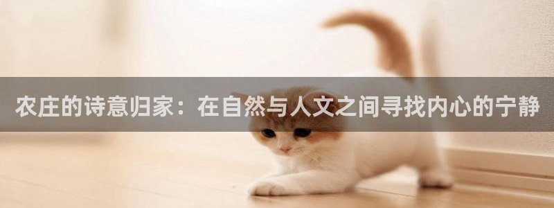 天辰娱乐平台