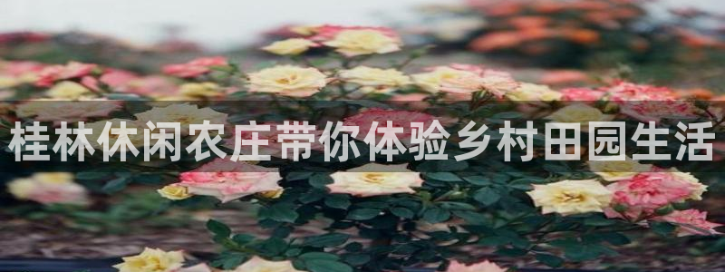 娱乐ktv天辰